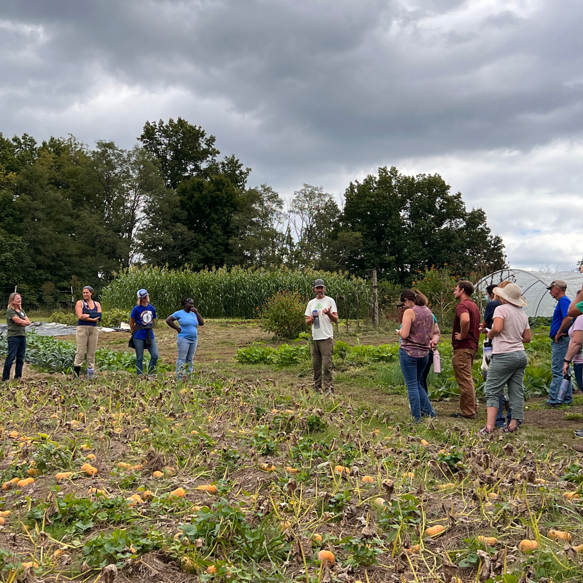 Farmer Field Day