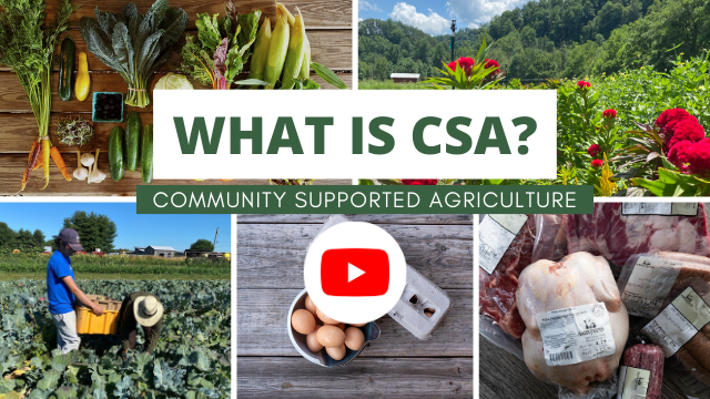 What is CSA Video