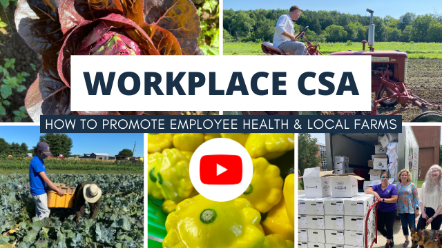 What is Workplace CSA Video